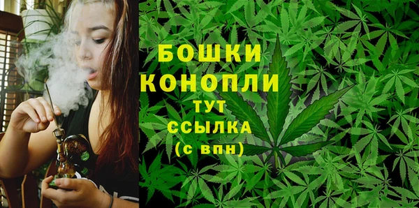 стафф Нея
